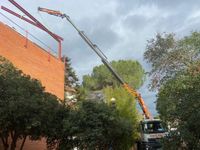 8a0fe49b-d21c-494a-8167-f1b0d688e3b8